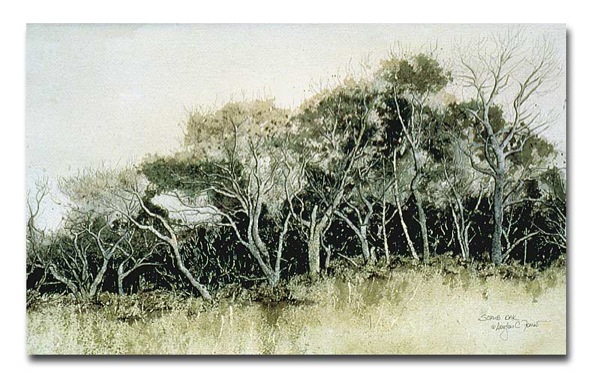 largerview